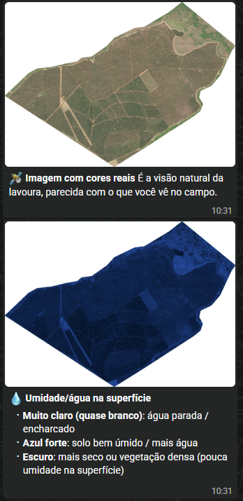 Exemplo real de imagens de satélite com cores reais e umidade da superfície