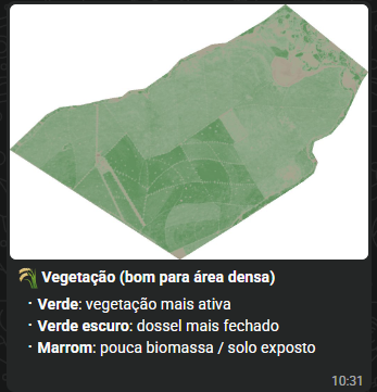 Exemplo real de imagem de satélite para vegetação em área densa