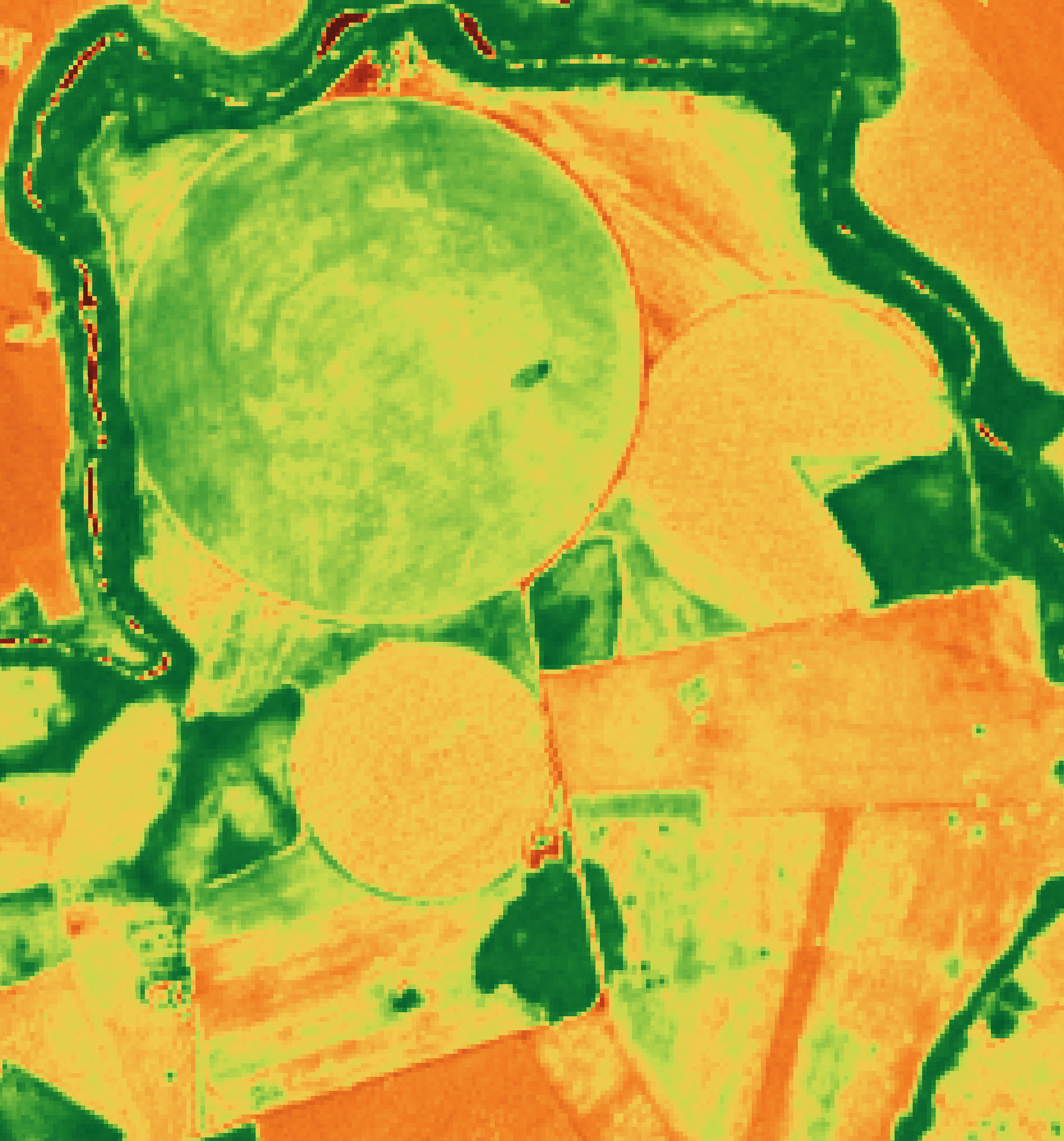 Exemplo real de mapa NDVI em tons de verde, amarelo e vermelho para localizar pontos de atenção