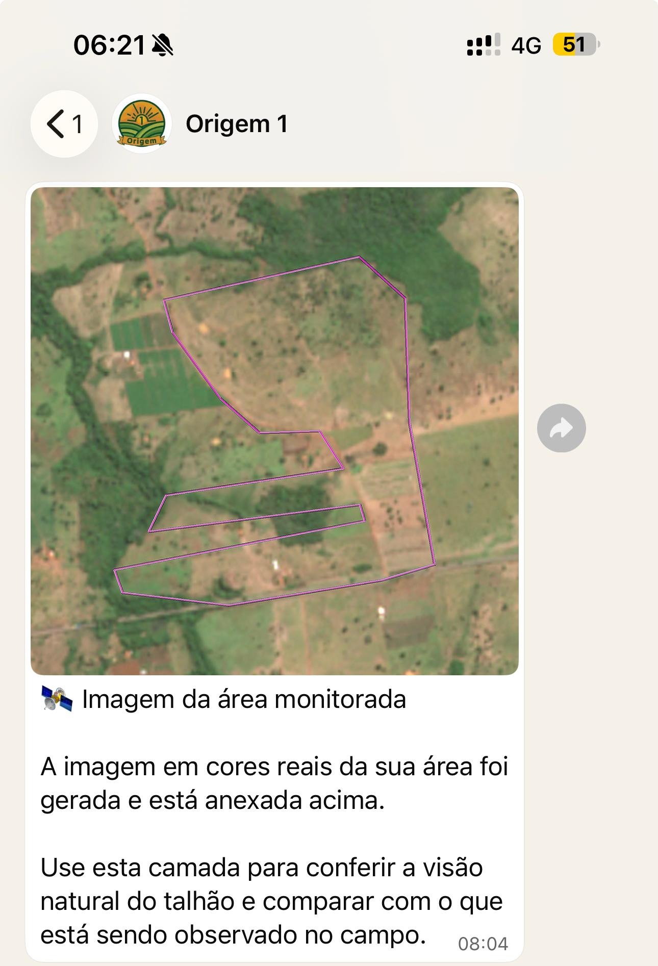 Exemplo real de imagem de satélite em cores naturais de uma área monitorada