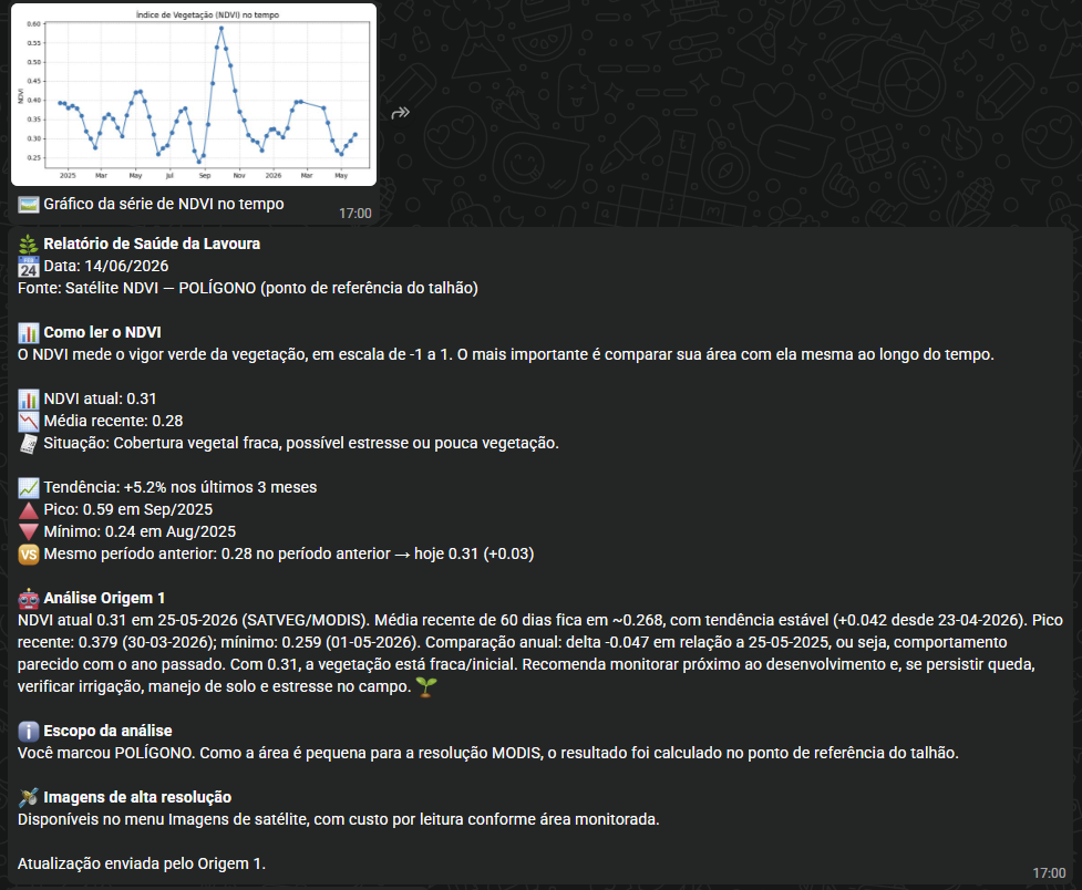 Exemplo real de relatório SatVeg com gráfico NDVI dos últimos meses